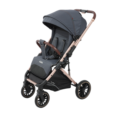 Coche Deluxe Light XL Pro