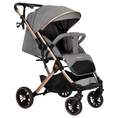 Travel Pro Reversible