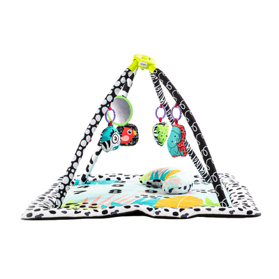 Gimnasio para Bebés